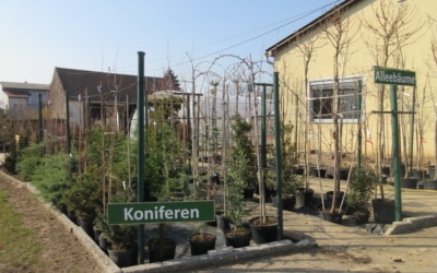 Frühlingserwachen
