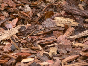 Rindenmulch - Gartentipps für Mai