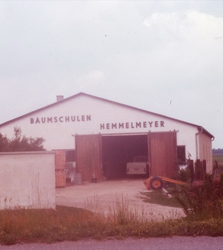 1975 Umstellung auf Containerpflanzen