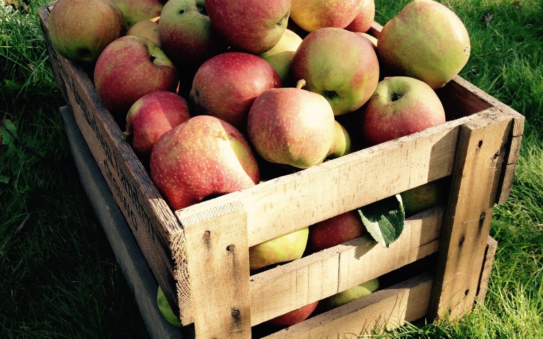 Obstbaumtag