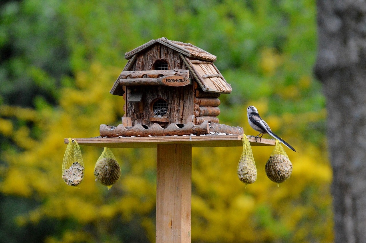 Vogelhäuschen - Gartentipps für Dezember