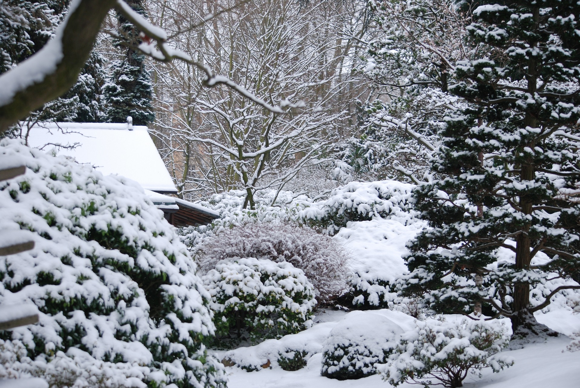 Ein tiefverschneiter Garten im Dezember