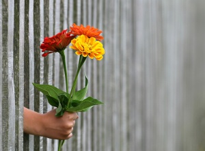 Blumen zum Valentinstag