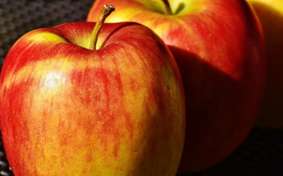Äpfel richtig ernten und lagern