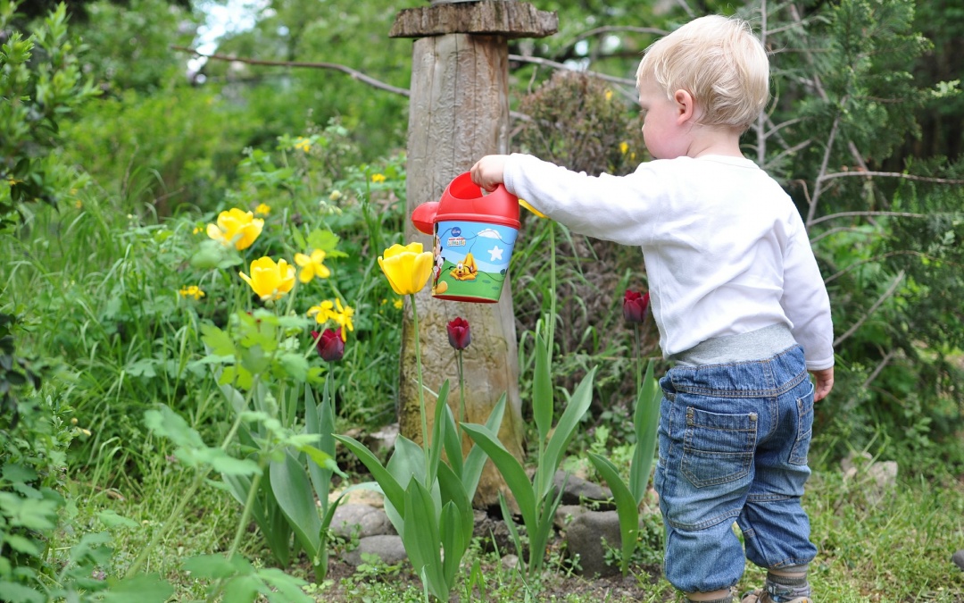 Der Garten meiner Kinder