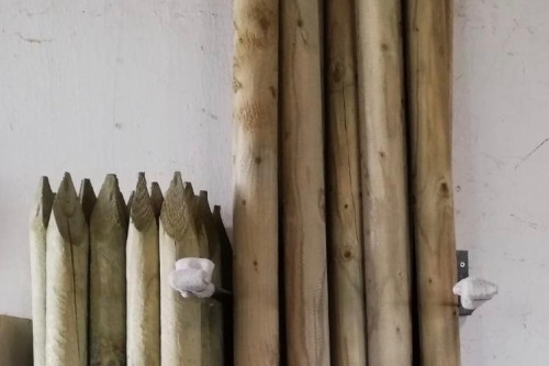 Baumpfähle