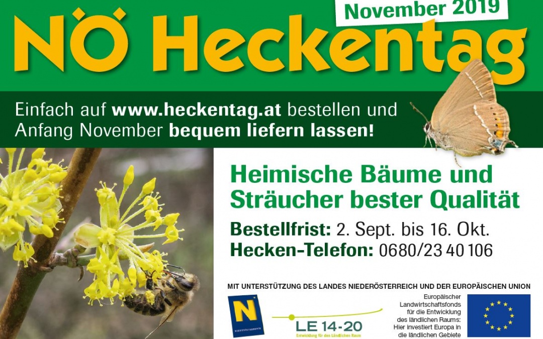 NÖ Hecktag 2019