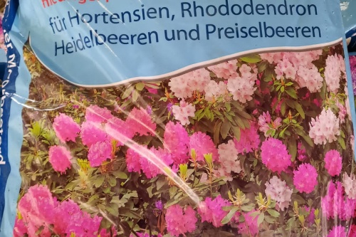 Moorbeeterde
