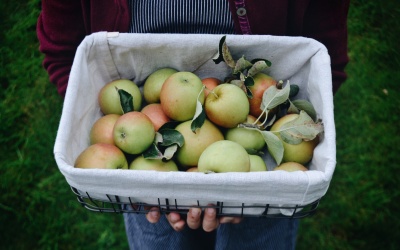 Obst für den Winter richtig aufbewahren