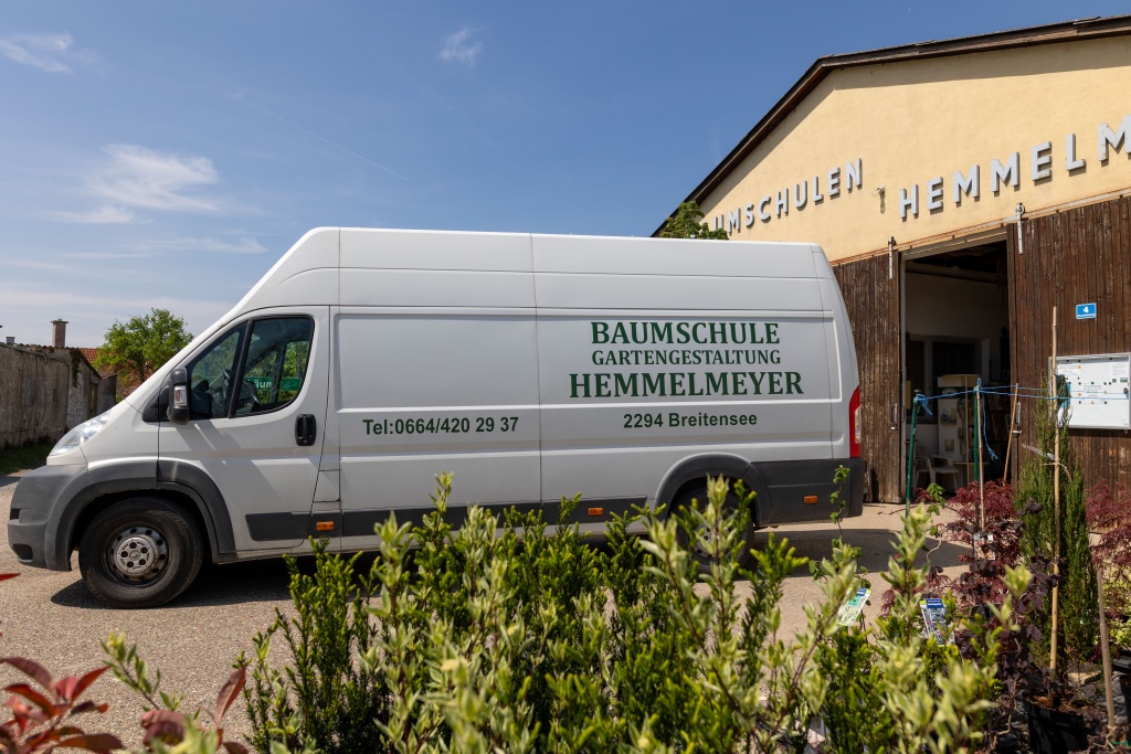 Lieferwagen_7871 Lieferservice